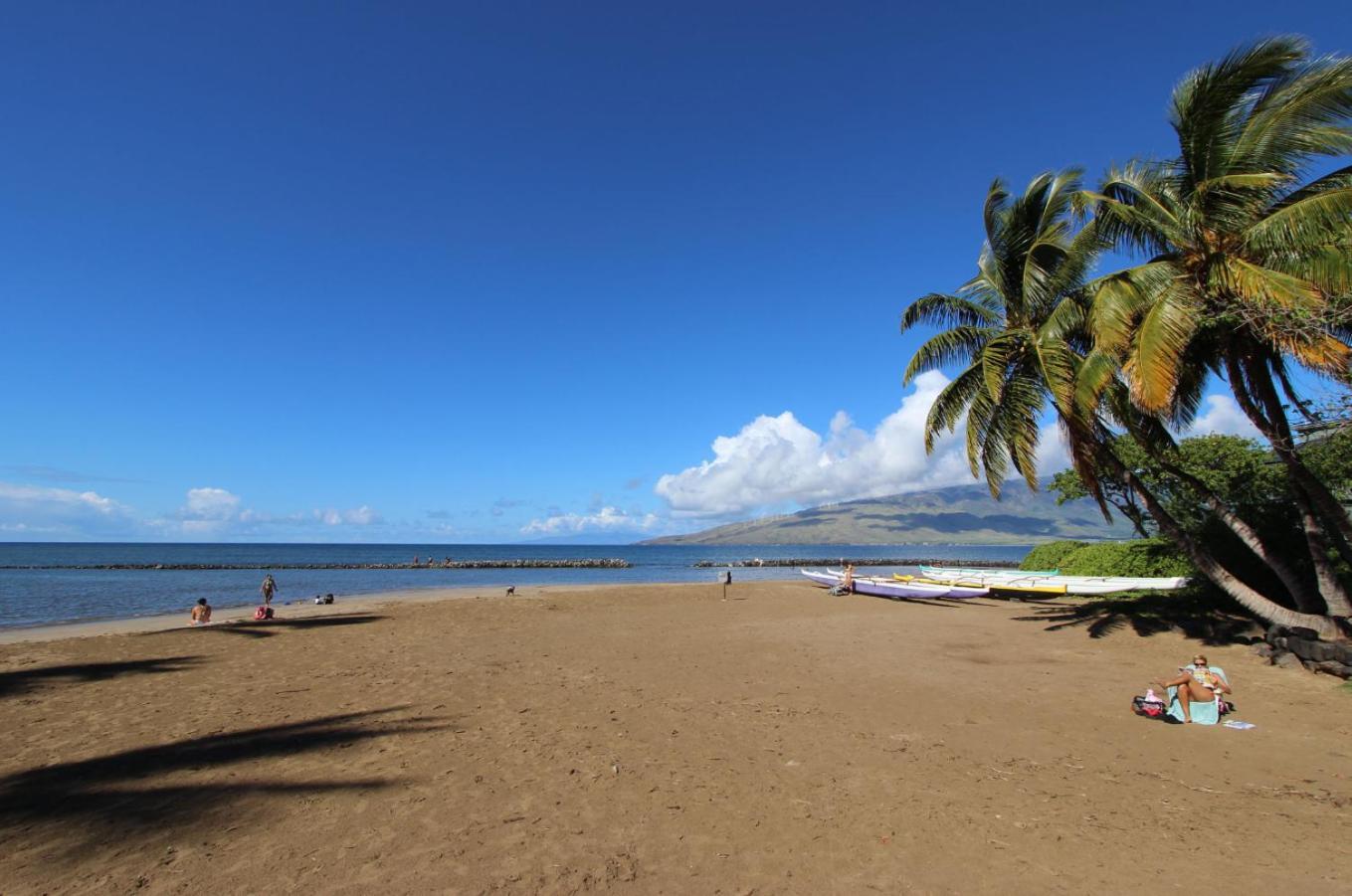 Cozy Maui Studio Retreat Just Steps To The Sand! Kihei Extérieur photo