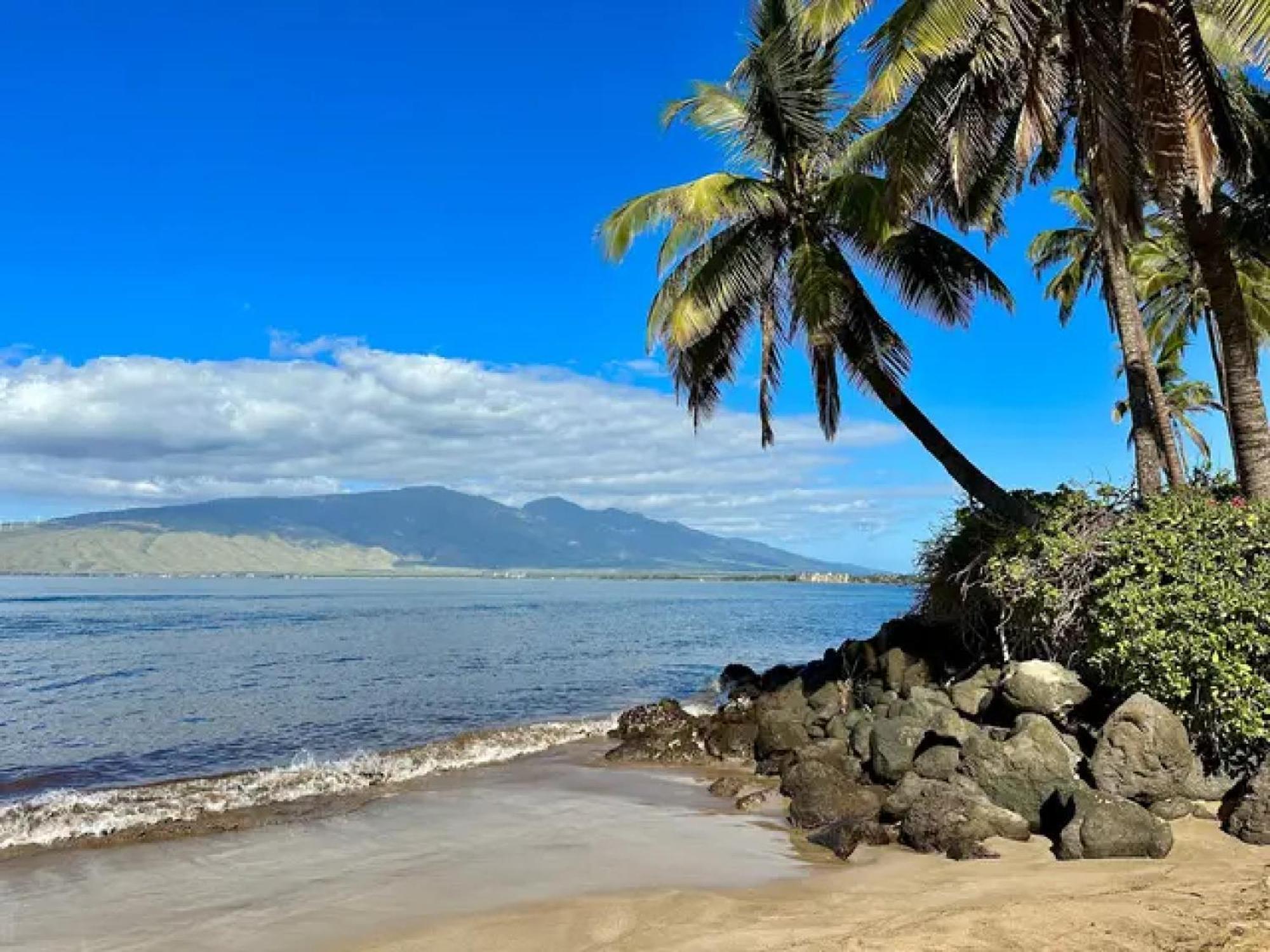 Cozy Maui Studio Retreat Just Steps To The Sand! Kihei Extérieur photo